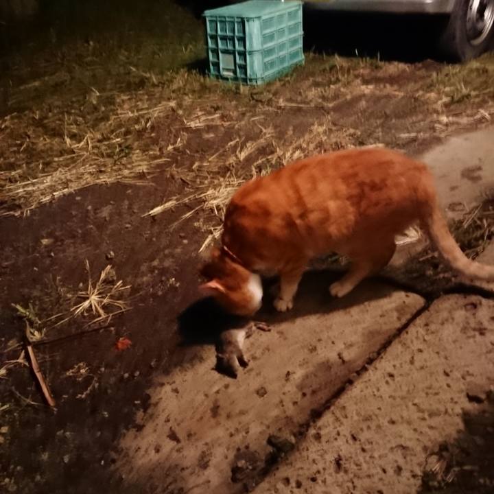 8903a9d0 b36c 43e1 98ea 8595a5b51789 1601115422407