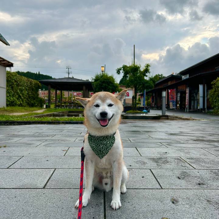 8903aaee cff9 4e38 b762 80f6ee421564 1750848724496