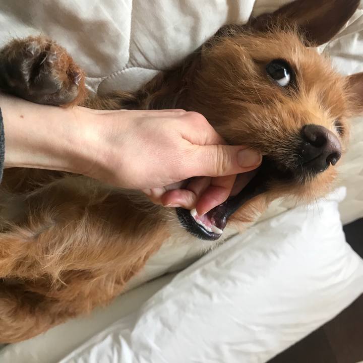 8903b977 fc6a 4902 bf42 9b4768880ba8 1553090258133