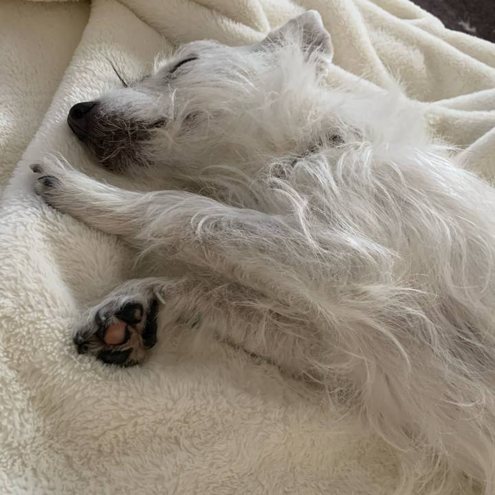 8903d5d3 f2cc 44ab 9605 767c7c35e22c 1677244585311