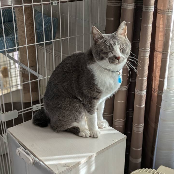 8903fbf1 3d51 49c7 98bf 1fcf74f1cdfb 1734933667727