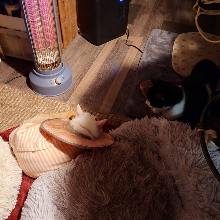 890448d3 6fbc 4989 8580 d1d38563ce9a 1761125746206