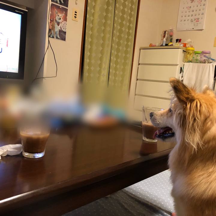 890451cd 19b9 4cdf b409 4ae578190a16 1566300011805