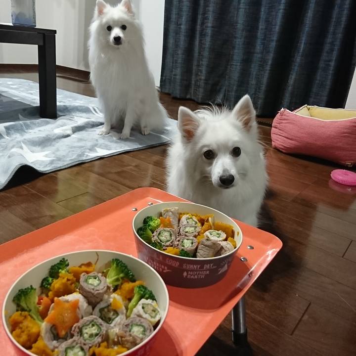 89048a15 d55e 4fdf 8406 5dfe591f2db0 1577273617975