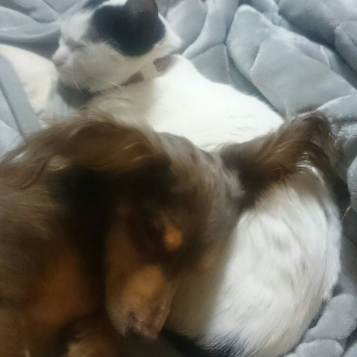 890493b1 8a11 46c7 ad87 75f5559cf09b 1521369128051