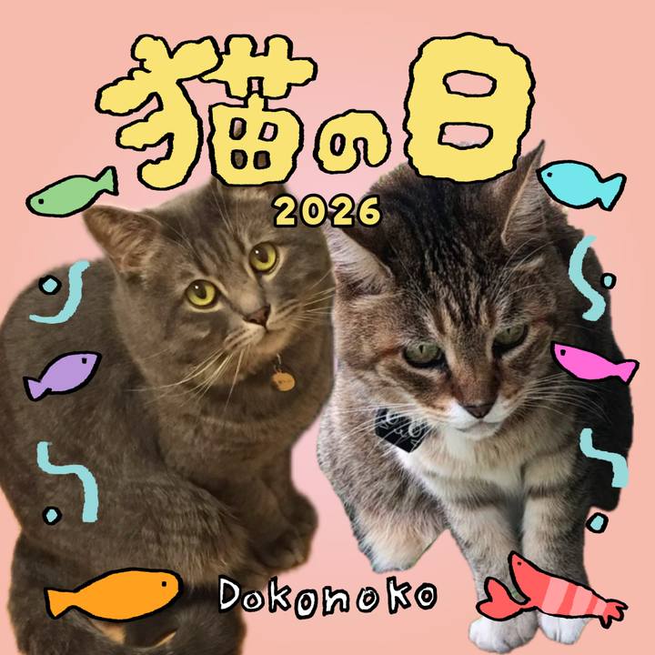 890498ef b009 4fc4 9a2c ba50fc098f96 1771741722502