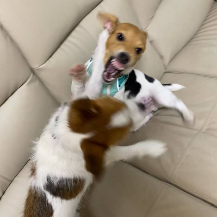 8904b39e b822 4702 88e9 3eb3976590da 1751635505628