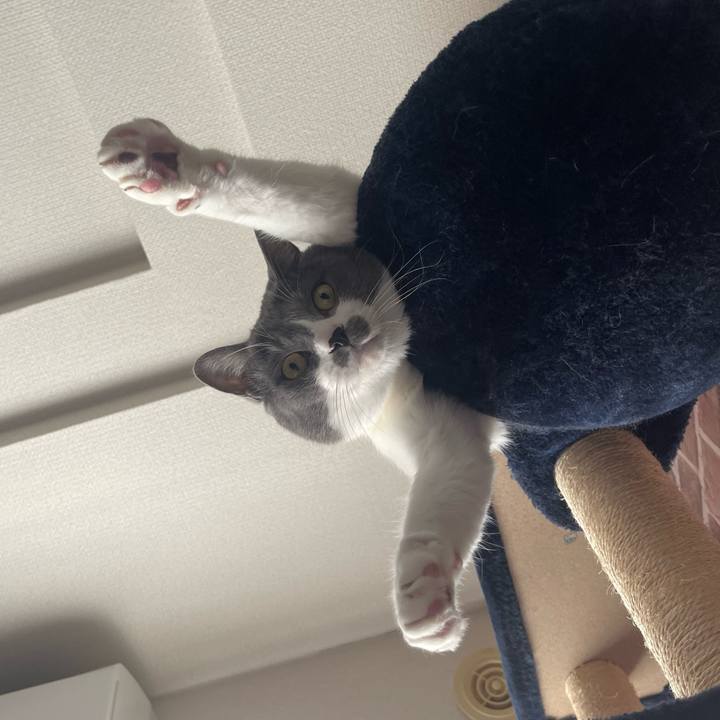 8904c9be e6db 4c77 b94a b8055a5bde3b 1673937100262