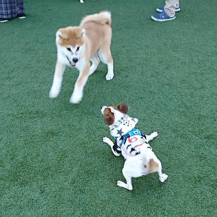 8904ef6c 0c10 4dcb 803f a3066552ba2f 1572847605214