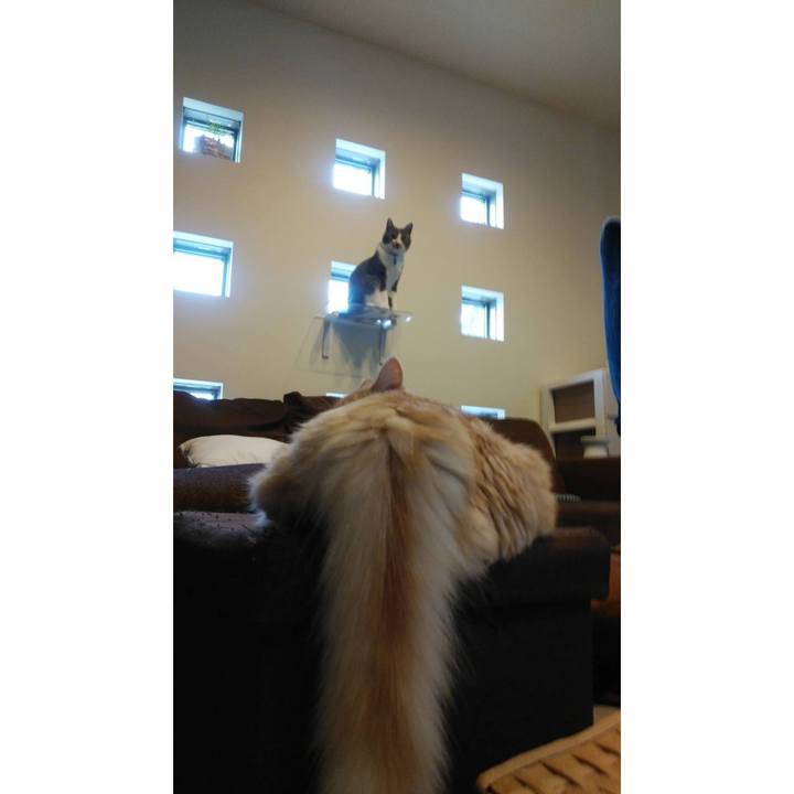 8904f211 ac6f 48bc 985c b1e8ec1bd2d1 1625570890636