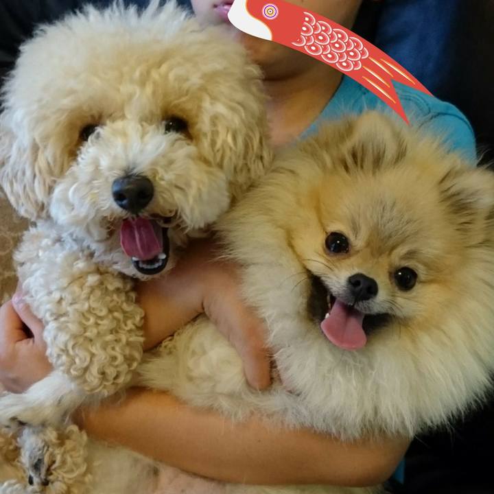 89051f21 170b 4870 a859 e0f1cddb4438 1525006738487