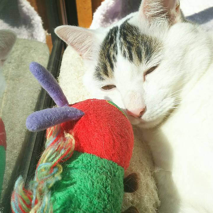 89053512 2855 4dee b79a 1d6c0c1e5d4f 1507804160248