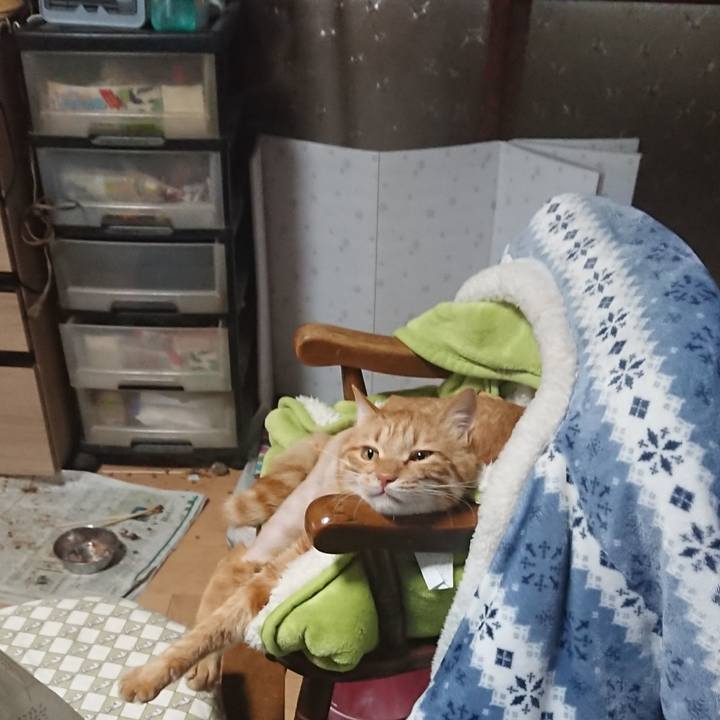 890535ae fb3a 418d 97b6 92095c7ac433 1654558376572