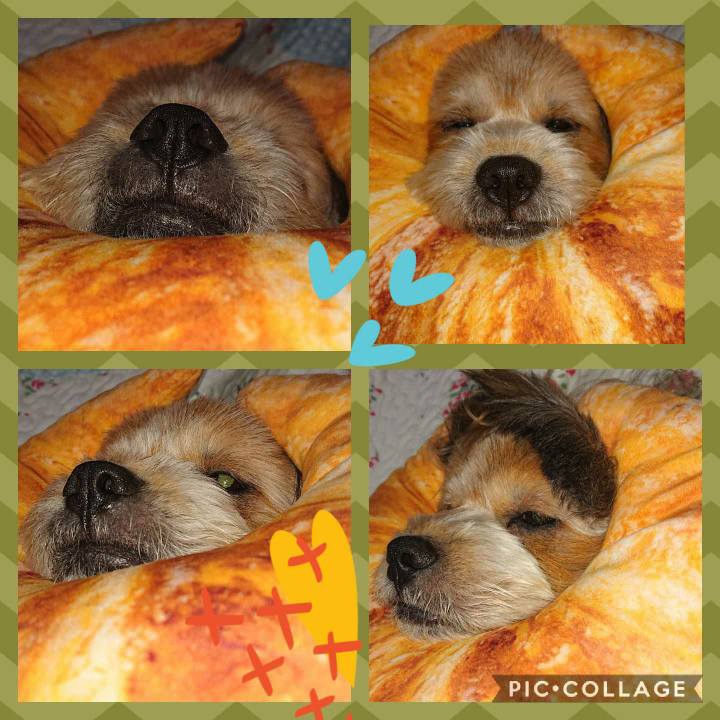 8905382f fe12 456b a4ae 27a770c29ae5 1601041555533