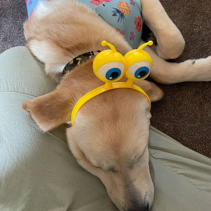 89056f5d bcd3 4a7c b731 b814bd9b92f2 1621724396752