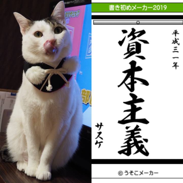 89057524 31c6 43a2 8977 b58d1dd47f2d 1546605157231