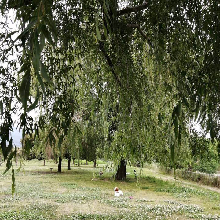 890580b2 b191 4288 b7de d7144646386d 1591171196758