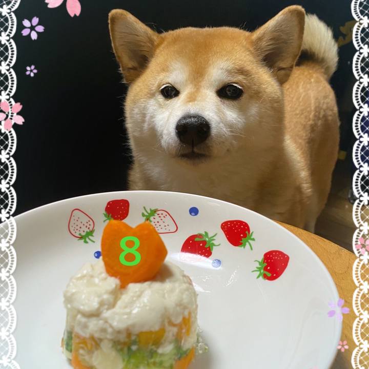 89058f30 8939 4704 abf7 ebaf57bf6d63 1617193426356