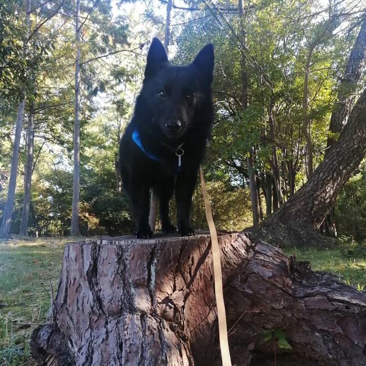 8906023b db16 4563 aa24 763308ed88b4 1635898029334