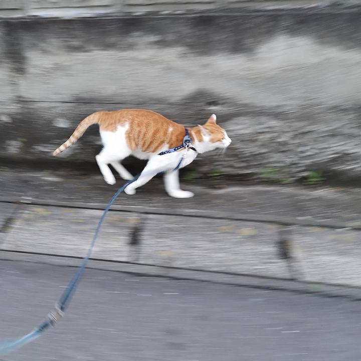 8906635b 1b88 4690 81e1 529e06aac780 1559991622435