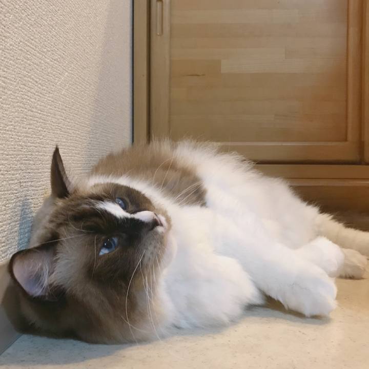 89067f1d adba 4e27 b95a 0a07b963291d 1508230024092