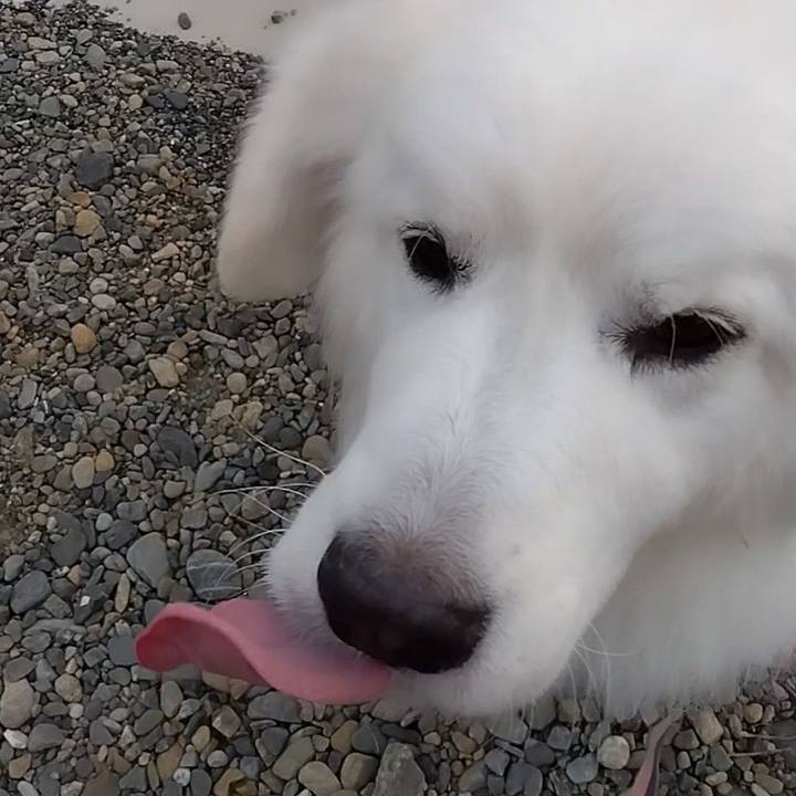 890696fa 5c14 42cc bf25 dd097e9ae2fb 1675466136459