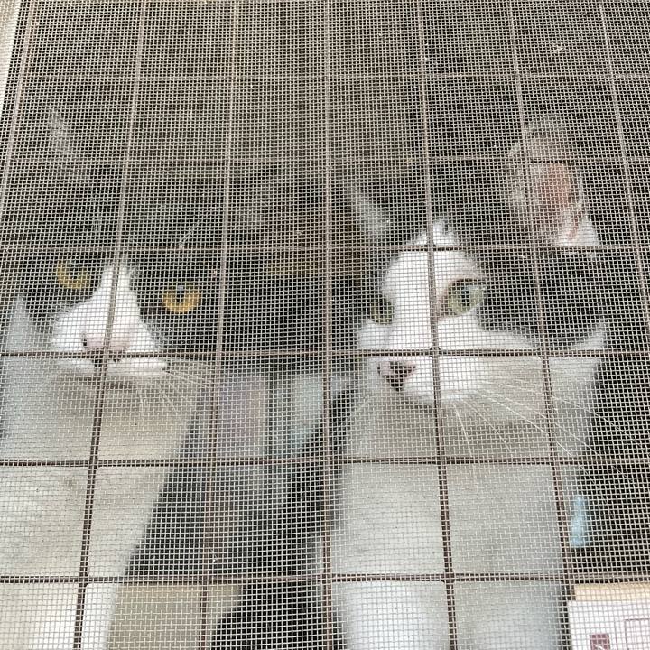 8906df86 7403 442f 9659 46fa38f583af 1694034371366