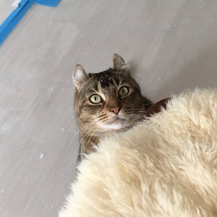 8906ea6c 9e7d 4e69 8a75 af2e30b3f226 1521339610000