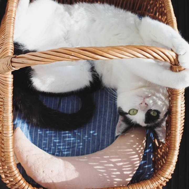 890711a2 abc0 414c b8ef 04eef75e3fe3 1548131709121