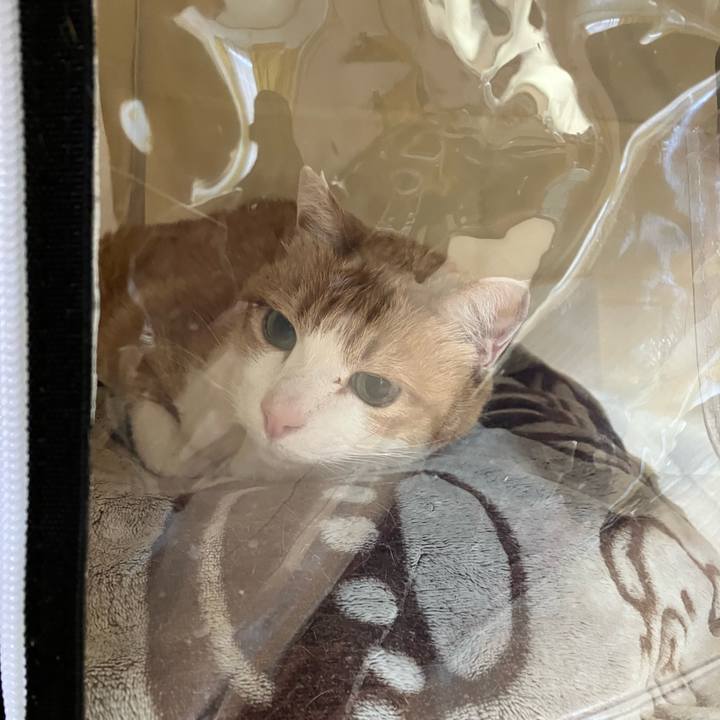 890744fd 1c2c 4517 807a fa3a933de1ac 1775043269275