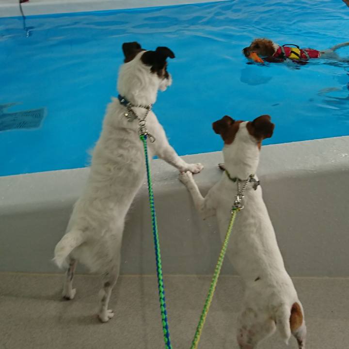 890752c3 0ef3 4ec4 8f3d 5617c379f204 1595325889088