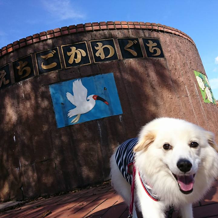 8907c46d 5959 4e52 be21 3c569e6286bd 1508984399688