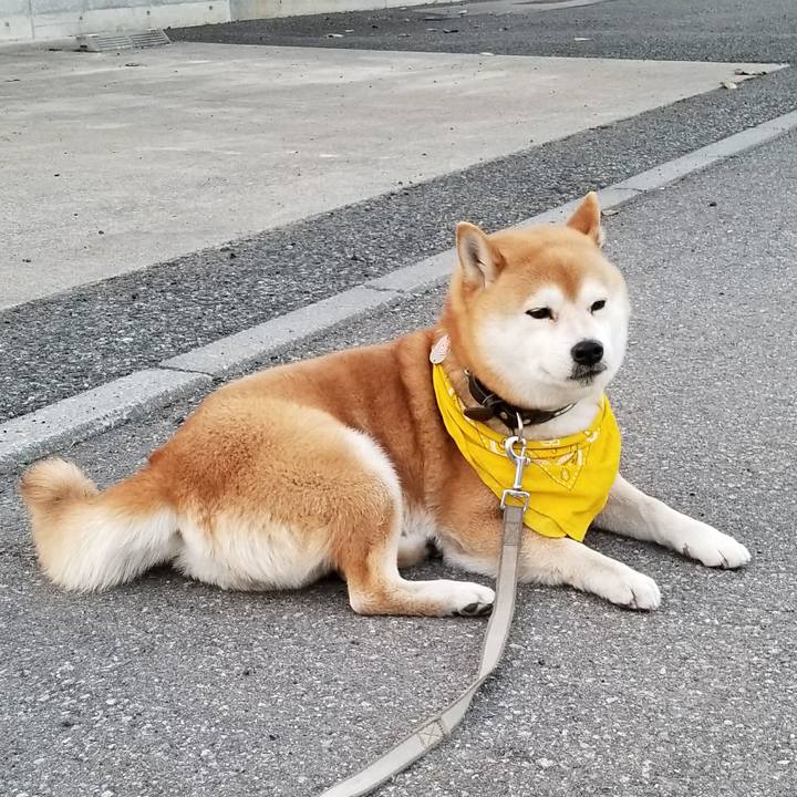 8908114f 1a31 4726 8d22 525b94a78c06 1522140950241