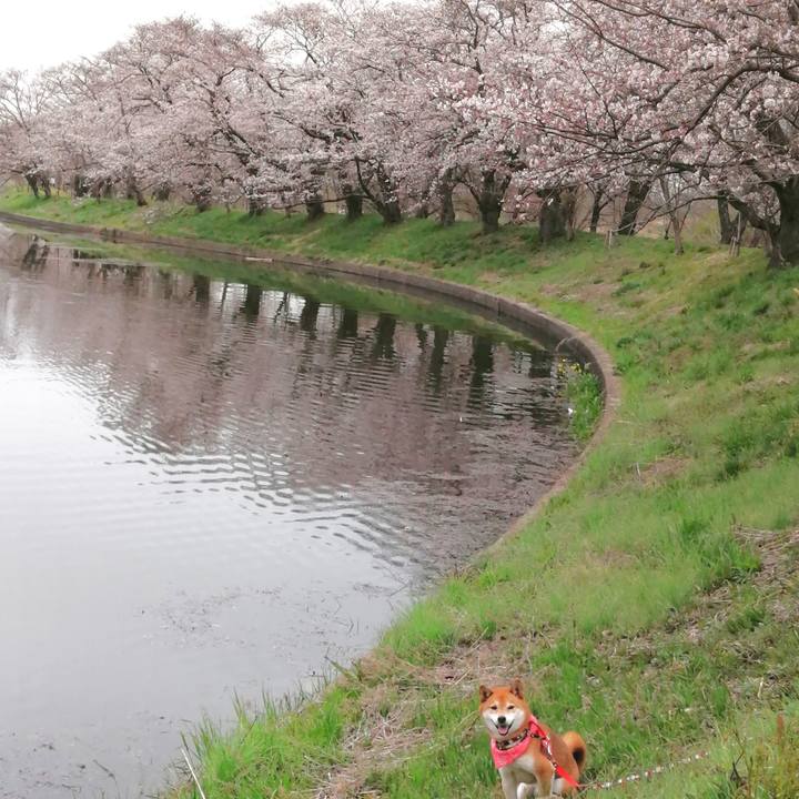 89084ac1 51fc 42fb 8d84 30bc17d8c7cb 1648600629338