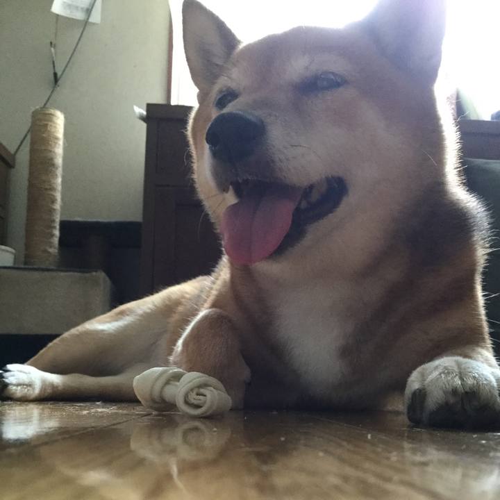 89084d03 8976 4991 a82e 621b2f93fd2b 1564027691582