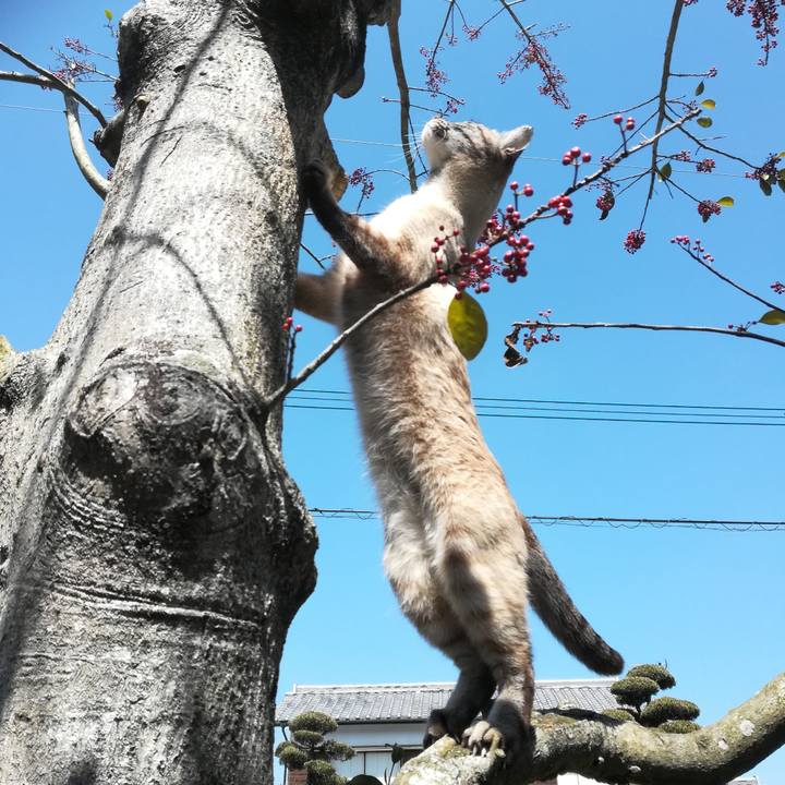 89085aa0 ad7e 4a9a 9229 a4b830e4d56b 1553397699593