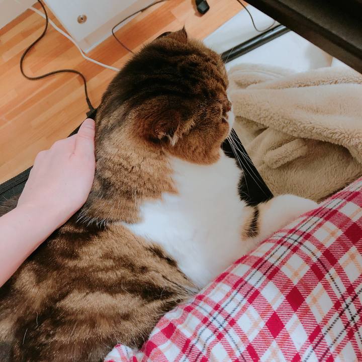 89085e4e 5af0 4546 8132 12821dd3088a 1552320458933