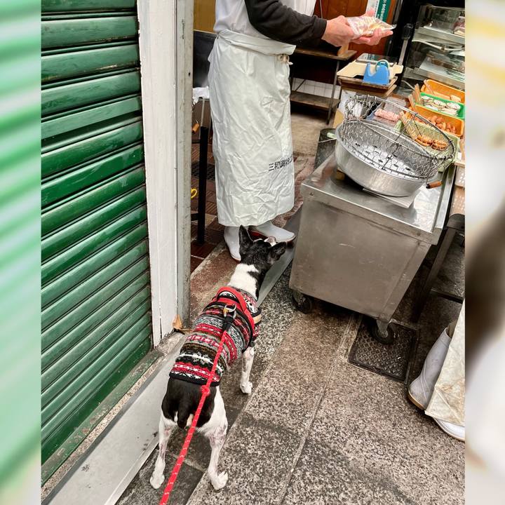 8908aa26 c7bd 4eb4 b58a f366237f37a4 1637461227683