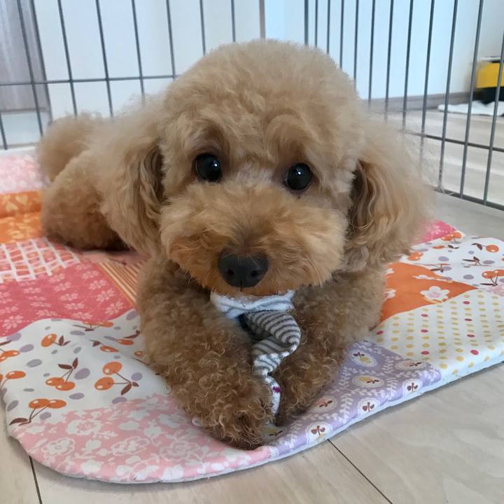 8908f287 9e4d 469f 82b3 cf992170e754 1591693647824