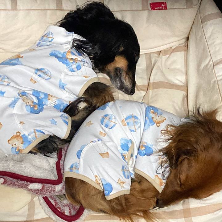 8908f409 fc59 46d8 a46d e53f30c0bf9a 1771158834330