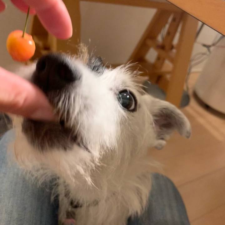 8908f70d 9104 4dd9 9c2e b4b87bfe22a2 1654861795252