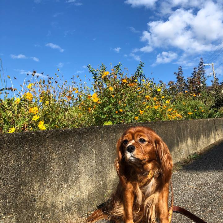 89091903 76e4 44dd af4a f13ef9a41cc5 1603499301083