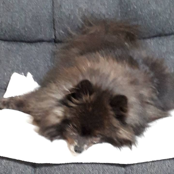 89092499 87f4 4c6c ae5c bbbb7d41b65a 1517225423196