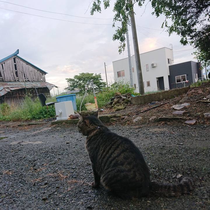 89092818 c44e 4e6a aaaa 7516aa409700 1662628724050