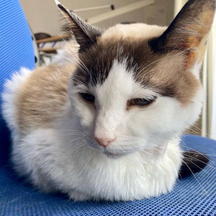 8909ea5f 8a14 4308 b19d cc69bf113ad6 1677976354956