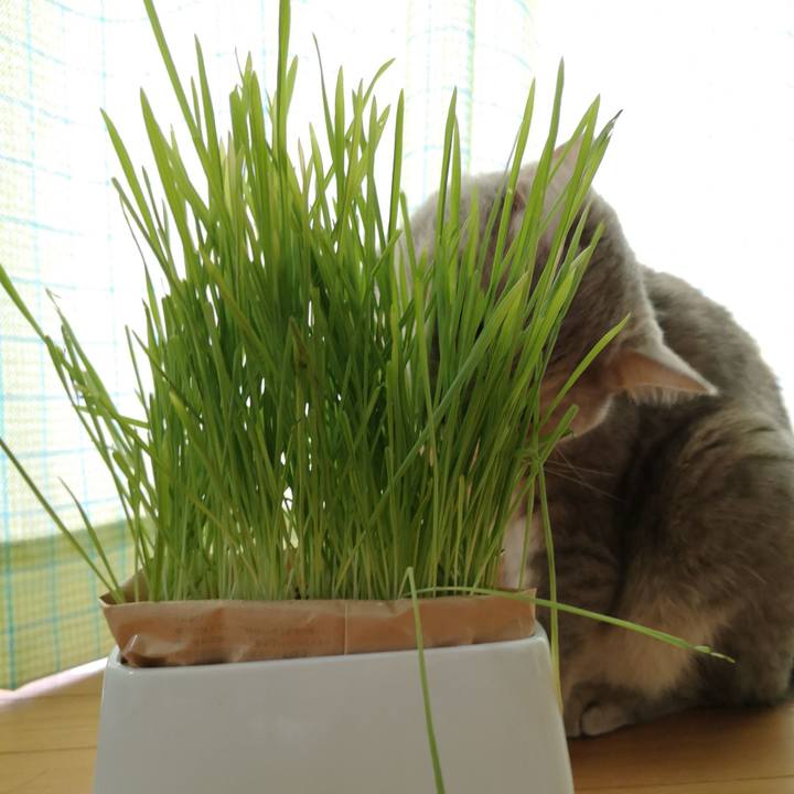 8909f3c4 154f 43cf a0d0 bc4db6da2f0f 1567557906197