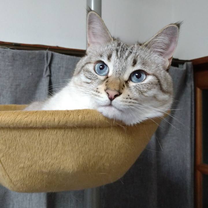 890a12eb fb82 4d81 bd7c 9b1ff0d0d558 1627998275974