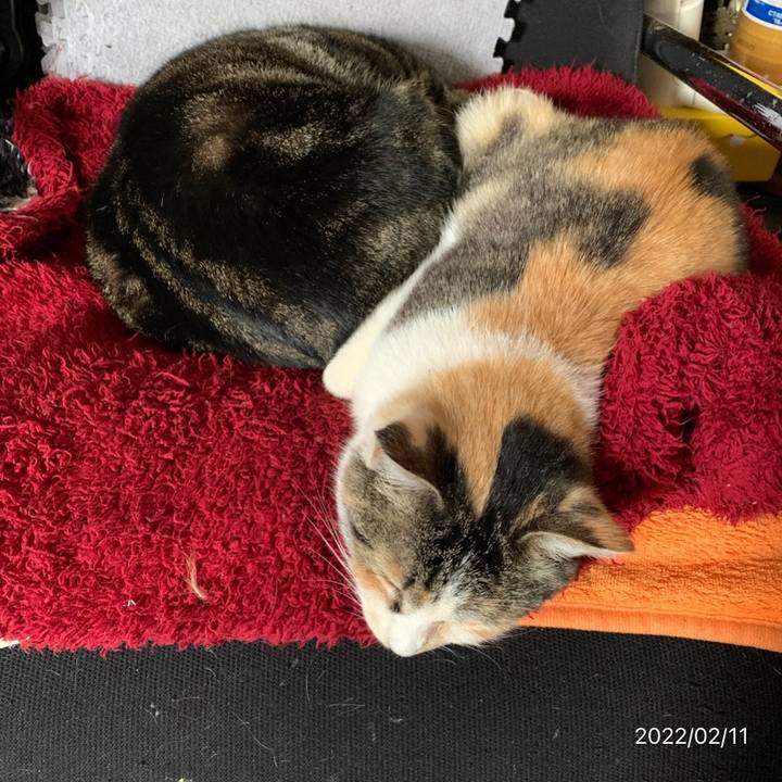 890a15e7 44b5 4232 ba4a da9b563eda64 1644539109735