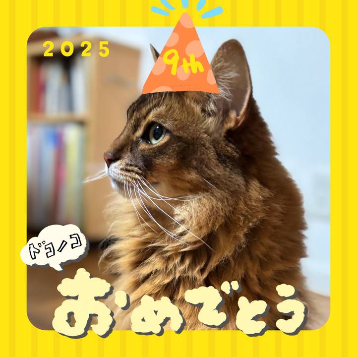 890a1a29 461f 4858 9464 29dbcbfbbdb8 1749132522805