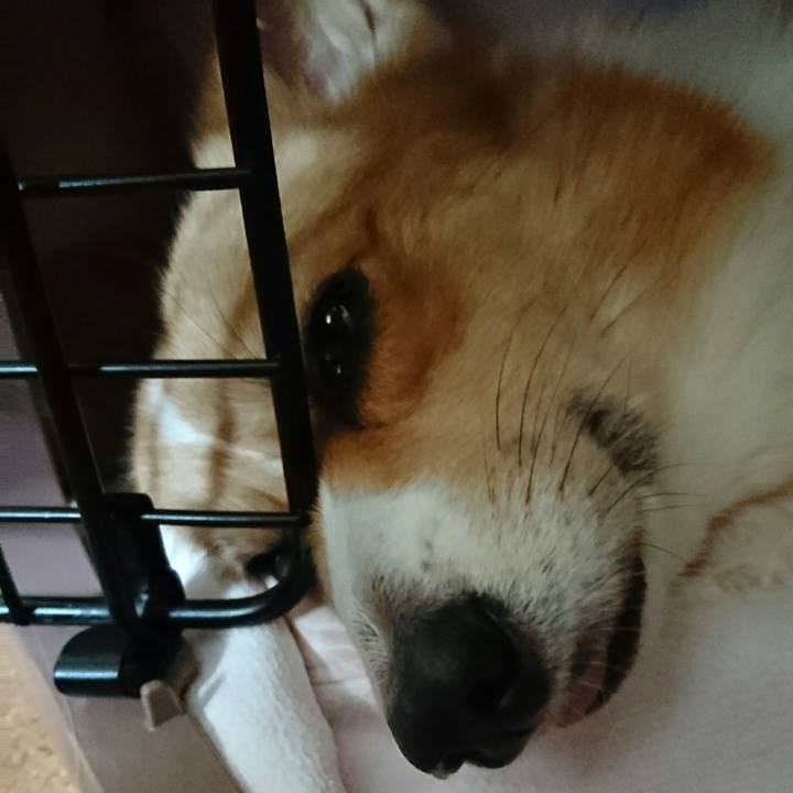 890a341f 9d83 4098 85c9 9f7a832451d6 1530160345089